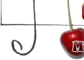 Qrz 10
